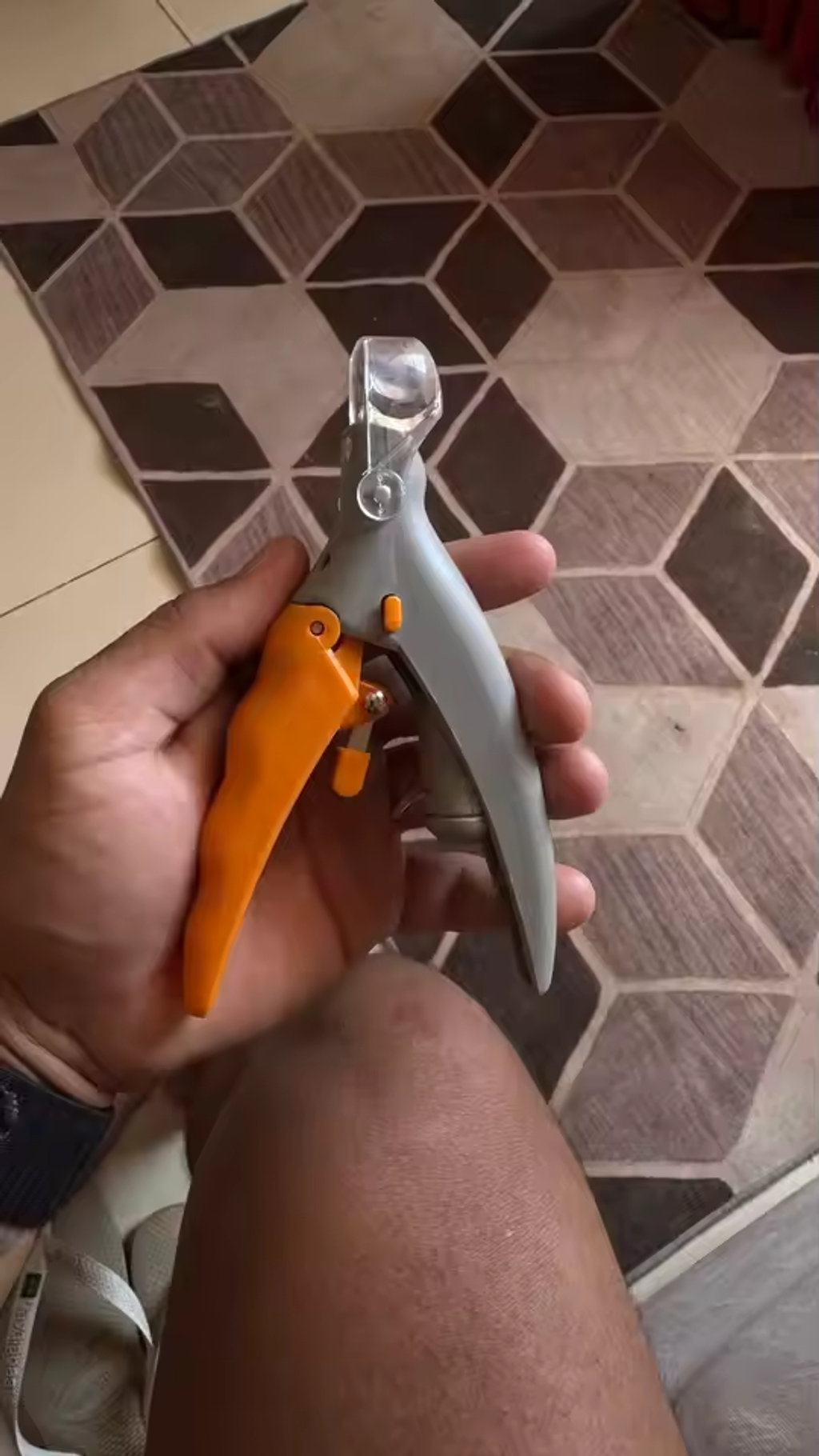 LED Light Pet Nail Clippers with 5x Magnification - Dual-Sided Clipper for Trimming