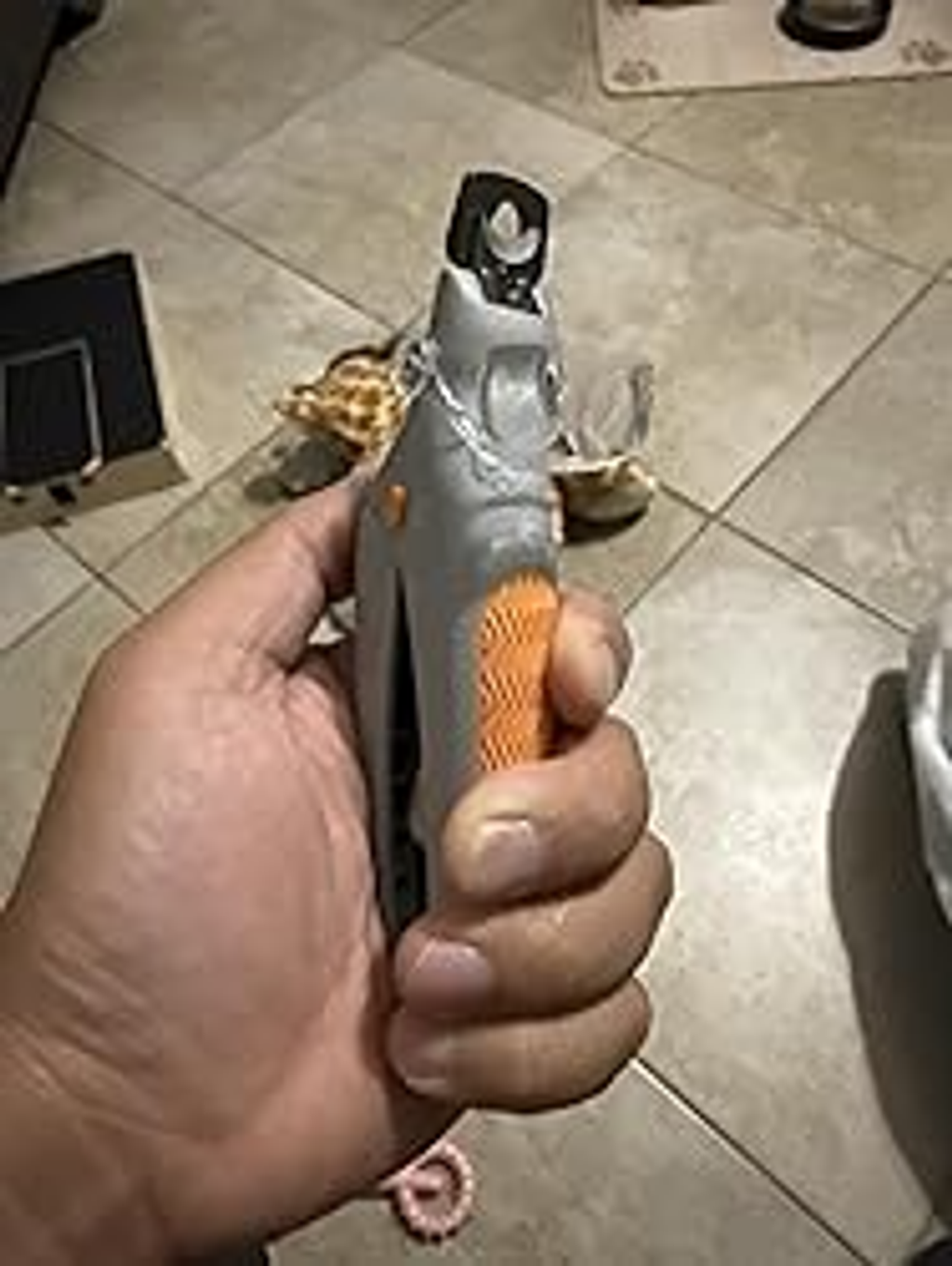 LED Light Pet Nail Clippers with 5x Magnification - Dual-Sided Clipper for Trimming