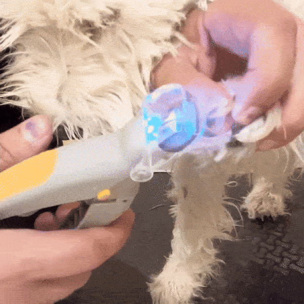 LED Light Pet Nail Clippers with 5x Magnification - Dual-Sided Clipper for Trimming
